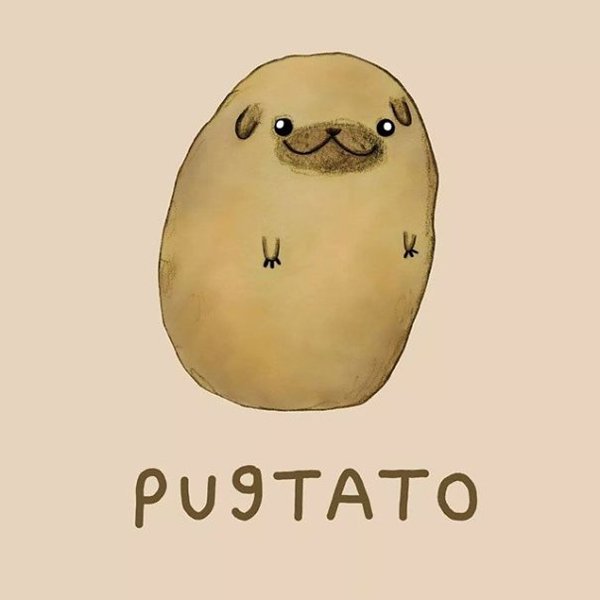 animal-puns-pugtato