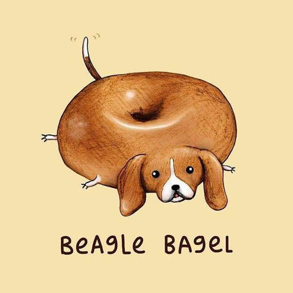 animal-puns-tasty-beagel