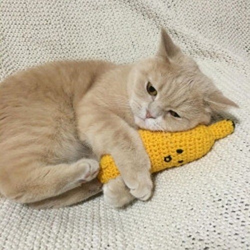 cat cuddling banana