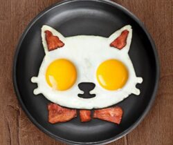 cat egg mold