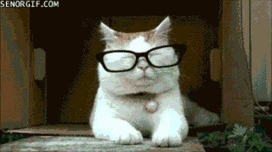 cat glasses