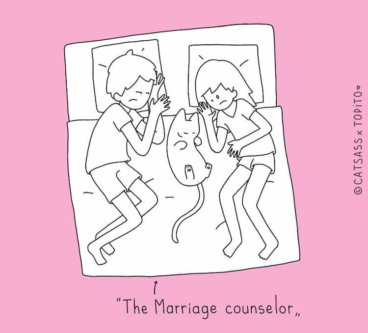 cat-marriage
