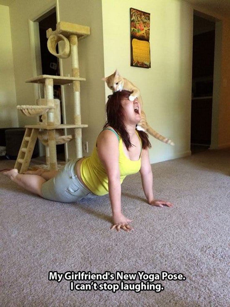 cat yoga woman