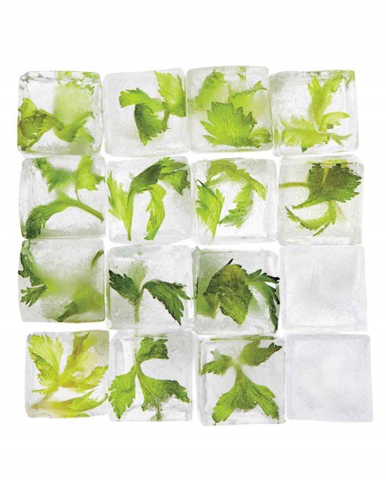 celery ice cubes