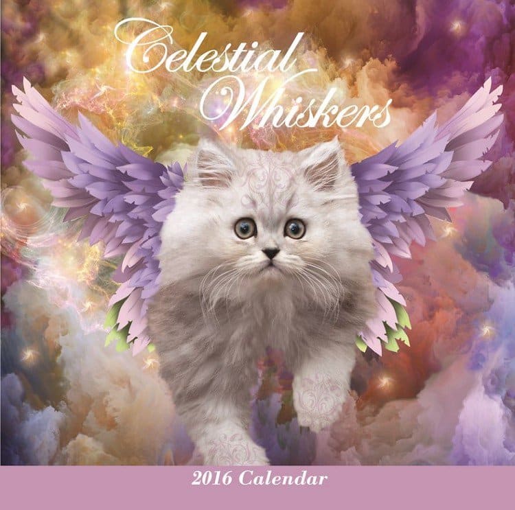 cover cat calendar