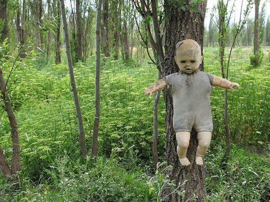 doll hanging from tree