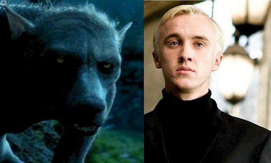 draco werewolf