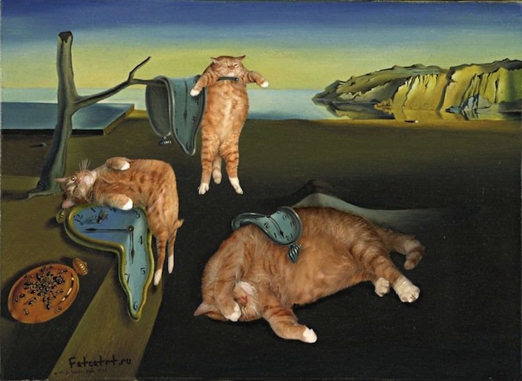 ginger-dali