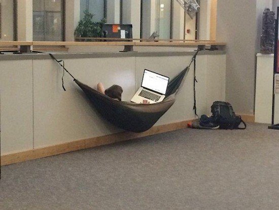 hammock laptop student