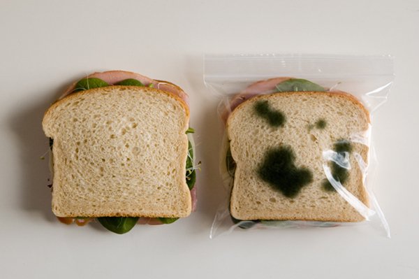 inventions-sandwich-bag