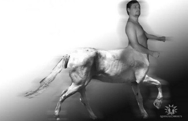 man horse body