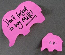 pink elephant sticky notes