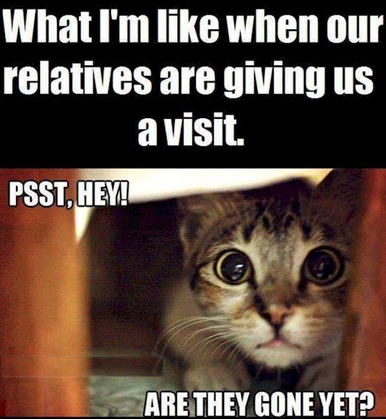 relatives visit