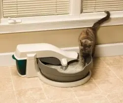 self cleaning cat litter box