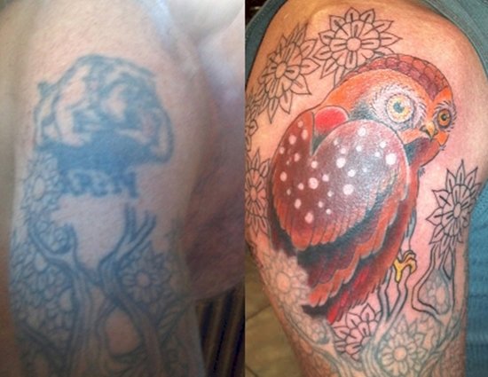 tattoo-cover-up-parrot