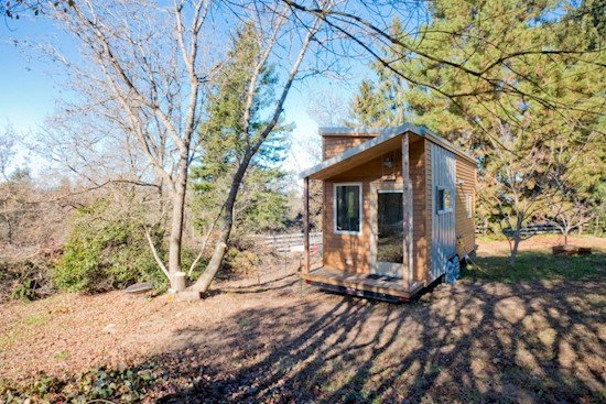 tiny house trees outside