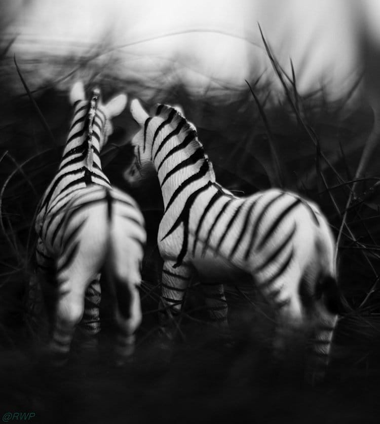 toy-zebras