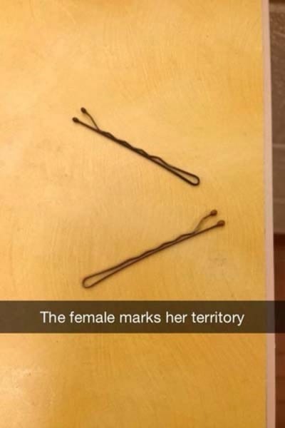 16 True Facts Of Life That You Just Can t Deny