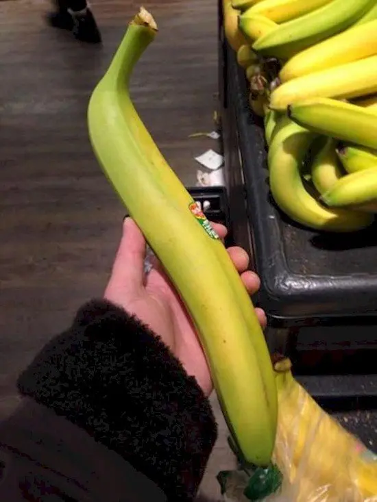 weirdly long banana
