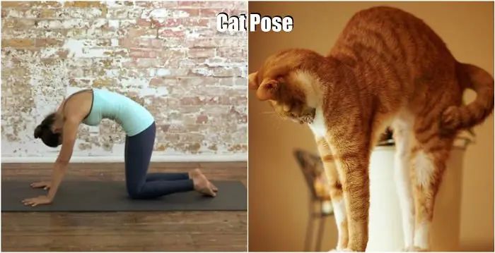 yoga-pose