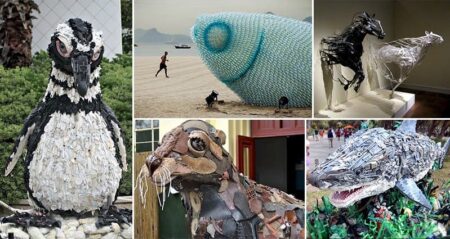 Artworks Made From Trash