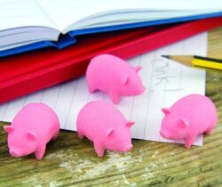 Bacon Scented Erasers