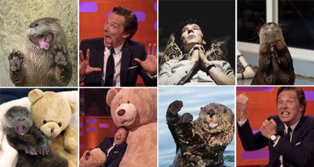 Benedict Cumberbatch Otter Impressions