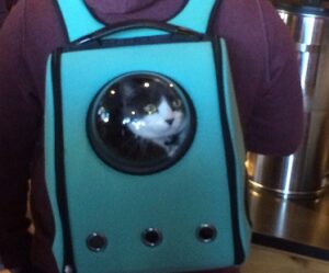Bubble Backpack Pet Carrier