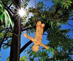 Bungee Jumper Bird Feeder