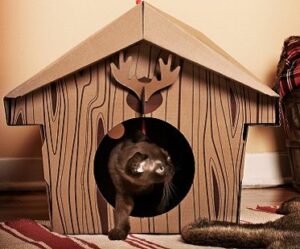 Cabin Cat Playhouse