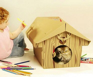 Cabin Cat Playhouse kitten