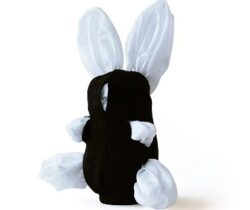 Character Shopping Bag