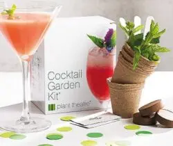 Cocktail Garden Kit