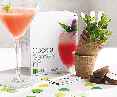 Cocktail Garden Kit