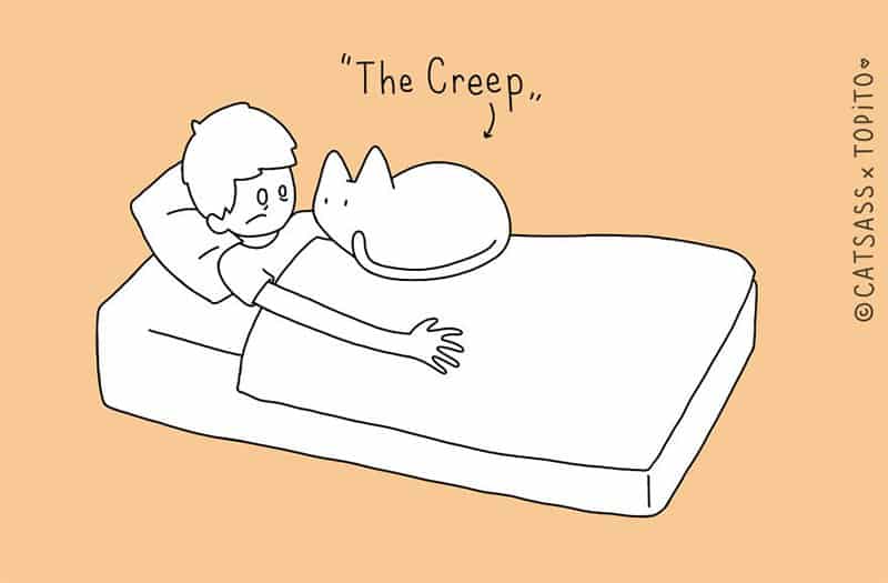 10 Hilarious Illustrations Showing The Positions Cats Love To Sleep In.