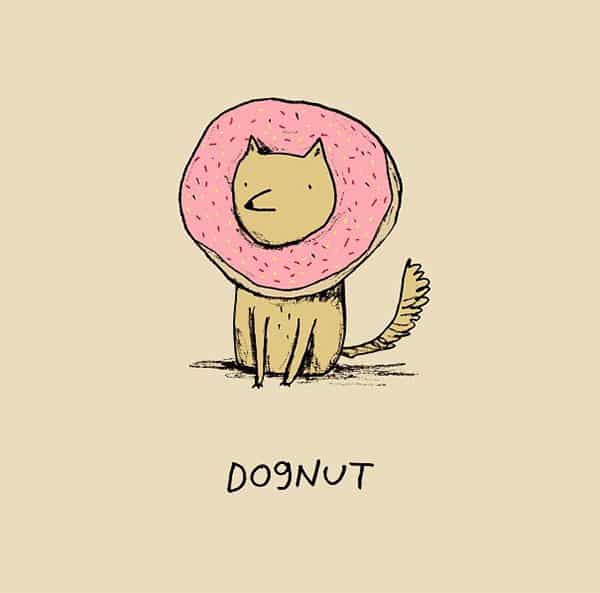 Dognut