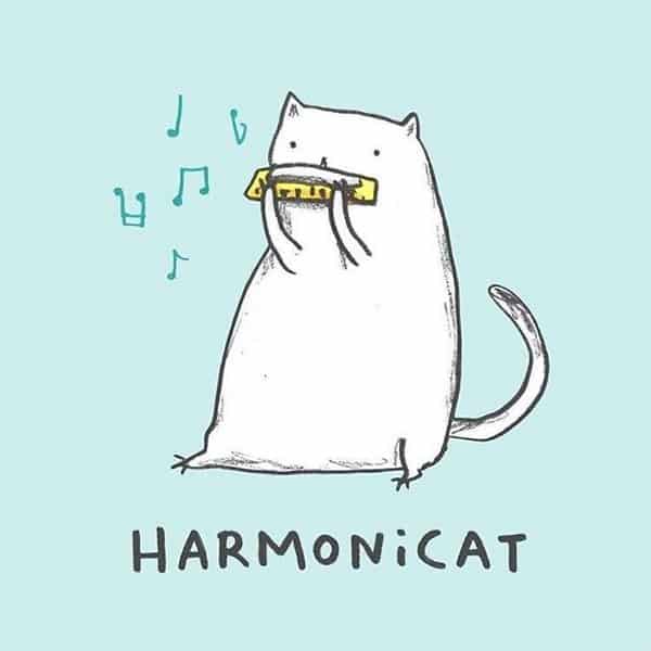 Harmonicat