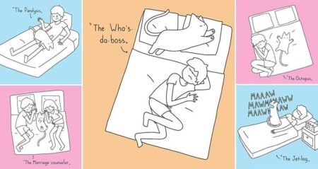 Illustrations Positions Cats Sleep In