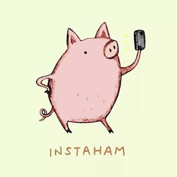 Instaham