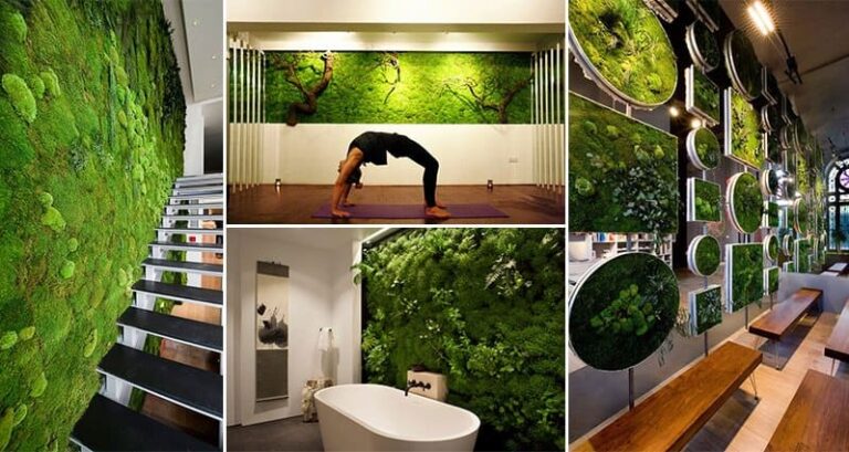 Interior Design Putting Moss On Walls