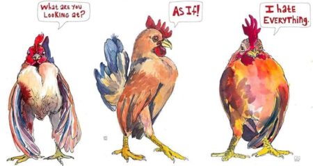 Janie Stapleton Chicken Paintings