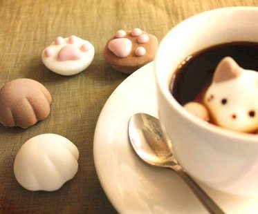 Marshmallow Cats paws