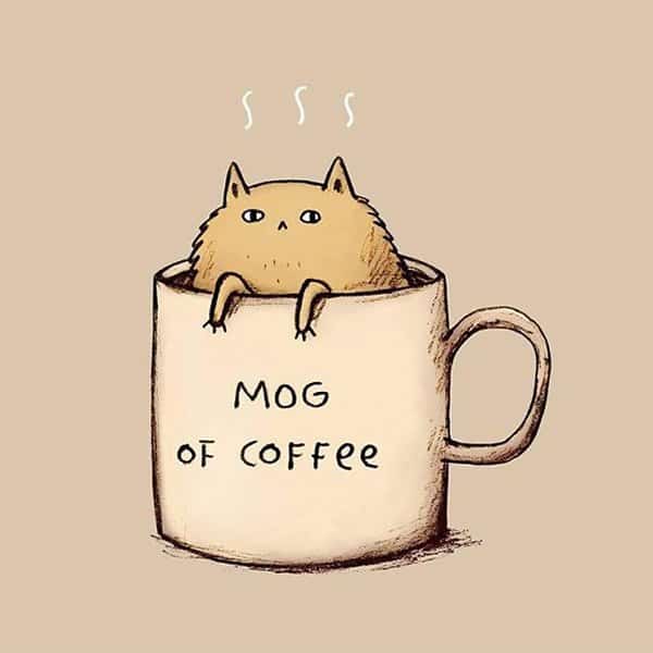 Mog