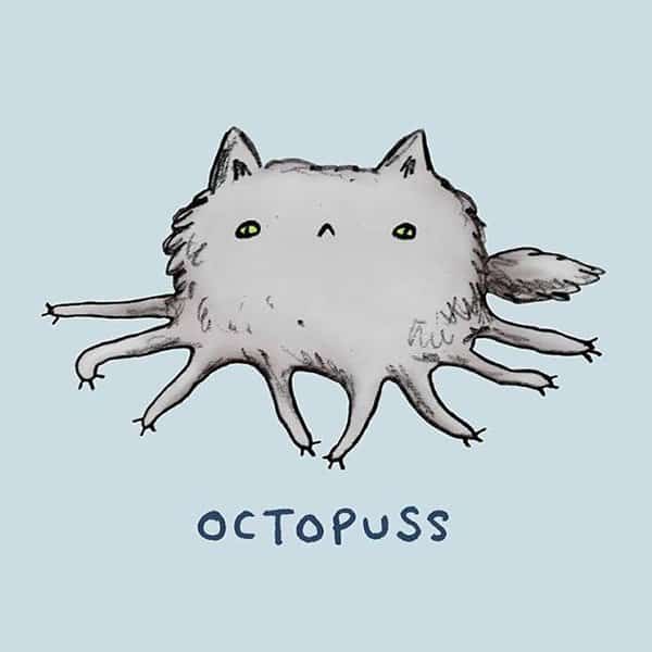 Octopuss