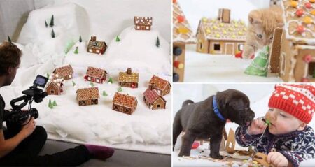 Puppies Babies Kittens Destroying Gingerbread Town
