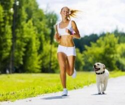 Retractable Hands Free Dog Leash