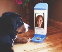 Wifi Pet Treat Dispenser