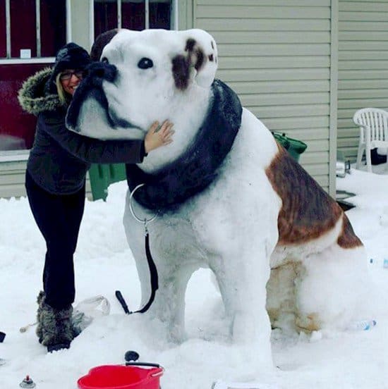 big snow dog