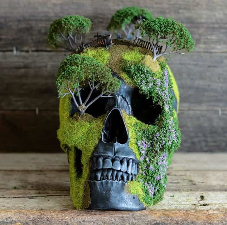 bonsai-skull-tree-jack-dust-front