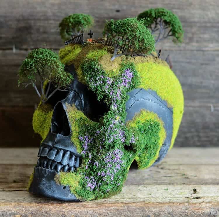 bonsai-skull-tree-jack-dust-trees